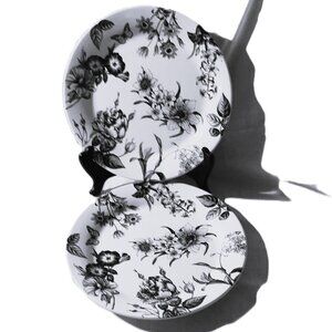 PIER 1 IMPORTS BLACK & WHITE BOTANICAL SALAD PLATES 9” SETS OF 2 FLORAL